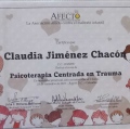 Acercar imagen: certificate 7