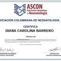 Acercar imagen: certificate 5