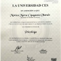 Acercar imagen: certificate 4
