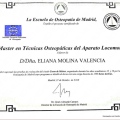 Acercar imagen: certificate 3