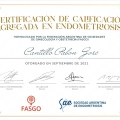 Acercar imagen: certificate 4