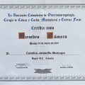 Acercar imagen: certificate 5