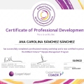 Acercar imagen: certificate 6