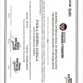 Acercar imagen: certificate 2