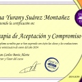 Acercar imagen: certificate 2