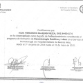 Acercar imagen: certificate 6