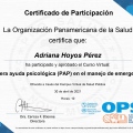 Acercar imagen: certificate 2