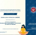 Acercar imagen: certificate 3