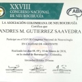 Acercar imagen: certificate 6