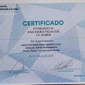 Acercar imagen: certificate 9