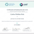 Acercar imagen: certificate 8