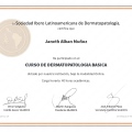 Acercar imagen: certificate 6