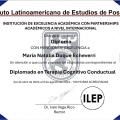 Acercar imagen: certificate 3