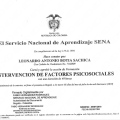 Acercar imagen: certificate 9