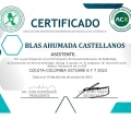 Acercar imagen: certificate 14