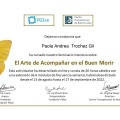 Acercar imagen: certificate 13