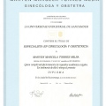 Acercar imagen: certificate 3