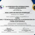 Acercar imagen: certificate 28
