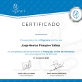 Acercar imagen: certificate 8