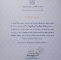 Acercar imagen: certificate 5