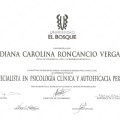 Acercar imagen: certificate 3