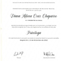 Acercar imagen: certificate 1