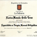 Acercar imagen: certificate 1