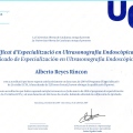Acercar imagen: certificate 2