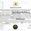 Acercar imagen: certificate 2