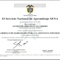 Acercar imagen: certificate 3