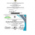 Acercar imagen: certificate 7