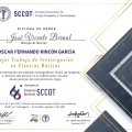 Acercar imagen: certificate 5