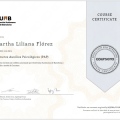 Acercar imagen: certificate 3