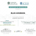 Acercar imagen: certificate 11