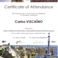 Acercar imagen: certificate 6