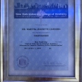 Acercar imagen: certificate 5