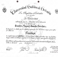 Acercar imagen: certificate 5
