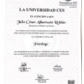 Acercar imagen: certificate 2