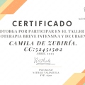 Acercar imagen: certificate 2