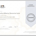 Acercar imagen: certificate 12