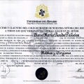 Acercar imagen: certificate 10