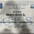 Acercar imagen: certificate 12