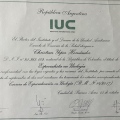 Acercar imagen: certificate 2