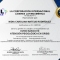 Acercar imagen: certificate 1