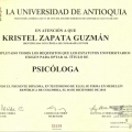 Acercar imagen: certificate 1
