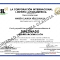 Acercar imagen: certificate 11