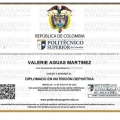 Acercar imagen: certificate 2