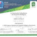 Acercar imagen: certificate 5