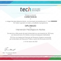 Acercar imagen: certificate 3
