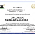 Acercar imagen: certificate 5